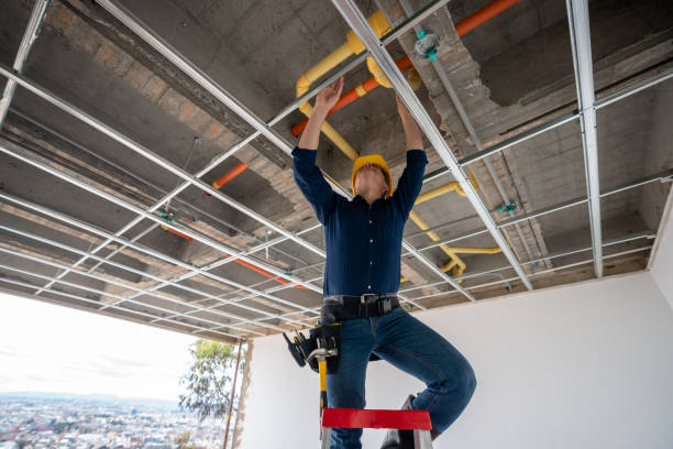 Best Best Plumbers Near Me  in Ackley, IA