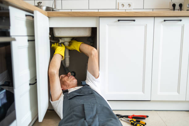 Best Local Plumber Services  in Ackley, IA