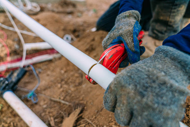 Best Local Plumber Services  in Ackley, IA